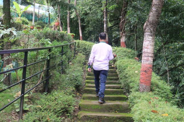 सल्यानको मूलपानी वनस्पति केन्द्र पर्यटकको आकर्षण बन्दै