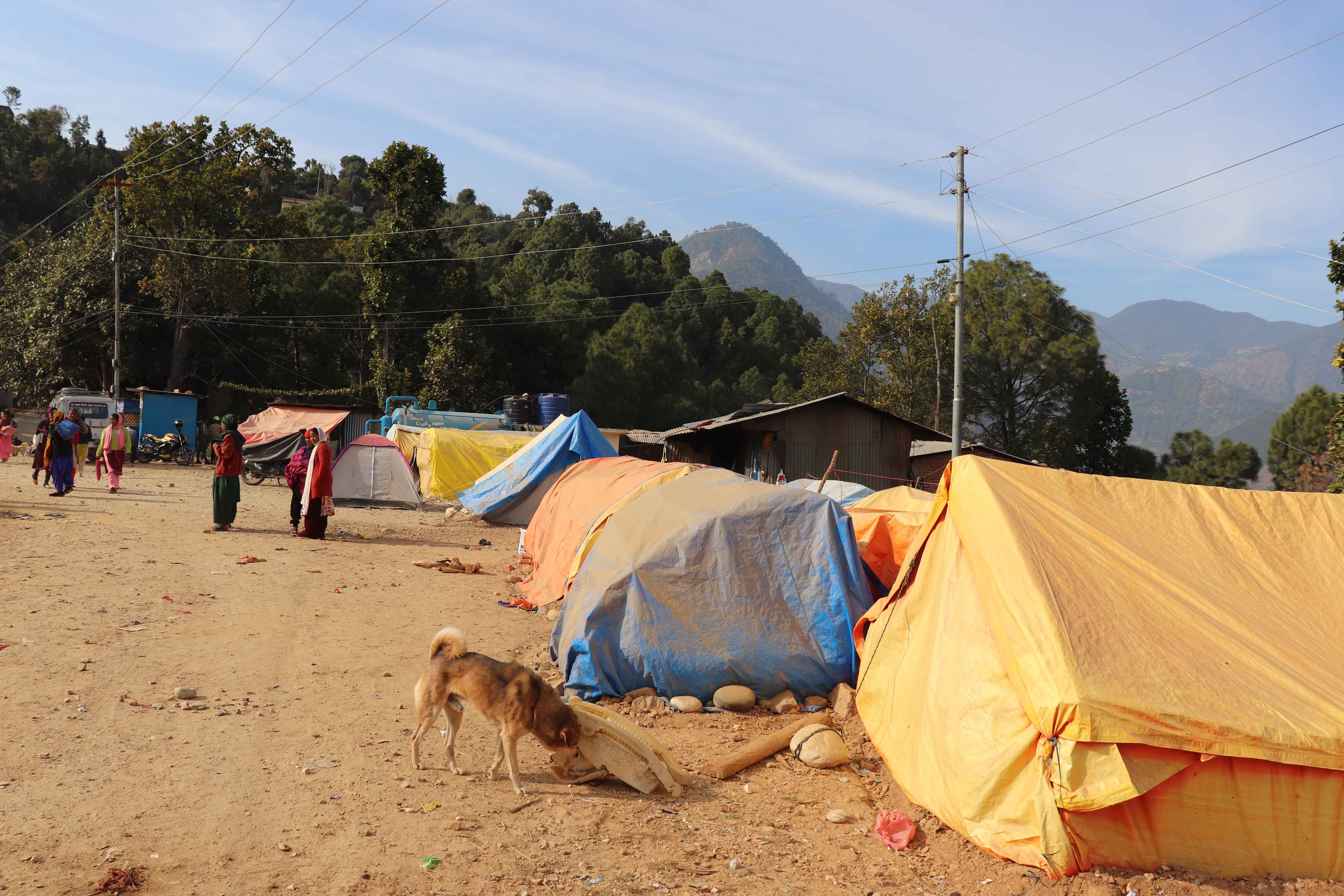 जनप्रतिनिधि र कर्मचारी तालिम, गोष्ठीमा व्यस्त; भूकम्प प्रभावितले रकम पाएनन्