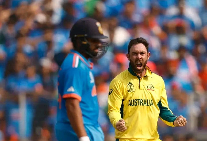 विश्वकप फाइनल : अस्ट्रेलियाद्वारा भारतलाई २ सय ४१ रनको लक्ष्य