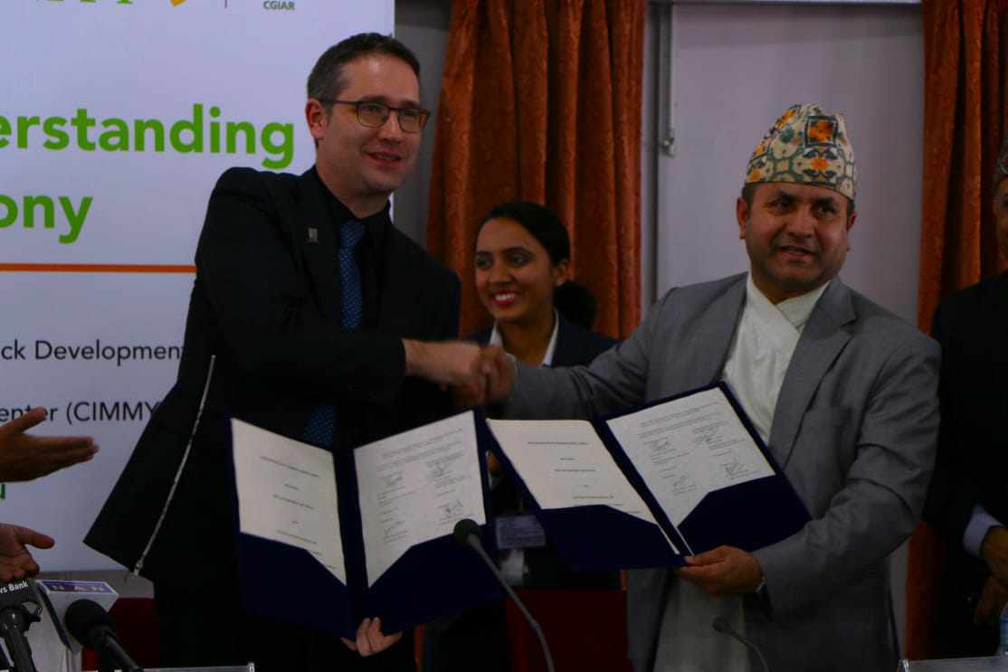 नेपाल र अन्तर्राष्ट्रिय मकै तथा गहुँ सुधार केन्द्रबिच कृषि विज्ञानको विकास गर्ने साझेदारी 